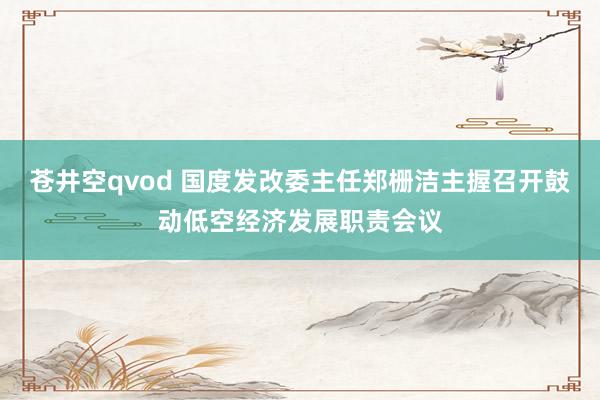 苍井空qvod 国度发改委主任郑栅洁主握召开鼓动低空经济发展职责会议