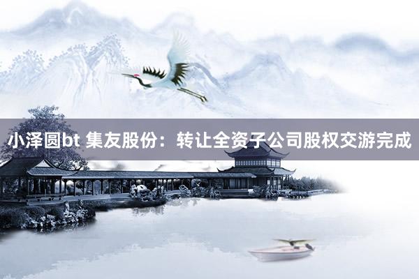 小泽圆bt 集友股份：转让全资子公司股权交游完成