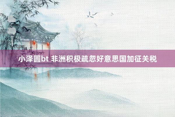 小泽圆bt 非洲积极疏忽好意思国加征关税