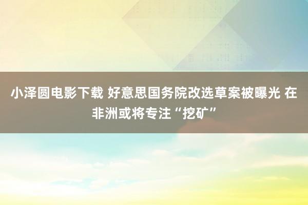 小泽圆电影下载 好意思国务院改选草案被曝光 在非洲或将专注“挖矿”