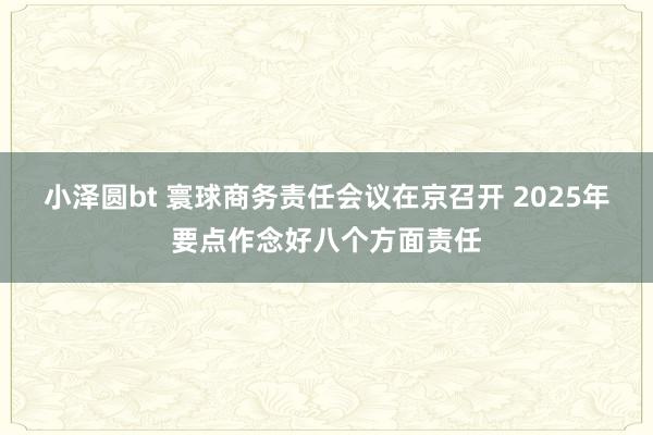 小泽圆bt 寰球商务责任会议在京召开 2025年要点作念好八个方面责任