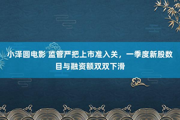 小泽圆电影 监管严把上市准入关，一季度新股数目与融资额双双下滑