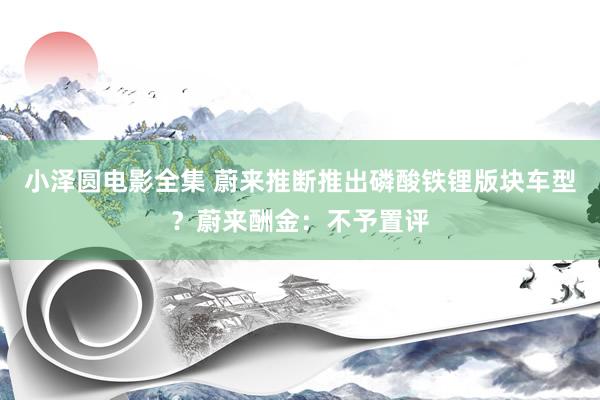小泽圆电影全集 蔚来推断推出磷酸铁锂版块车型？蔚来酬金：不予置评