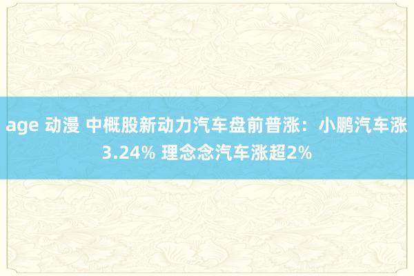 age 动漫 中概股新动力汽车盘前普涨：小鹏汽车涨3.24% 理念念汽车涨超2%
