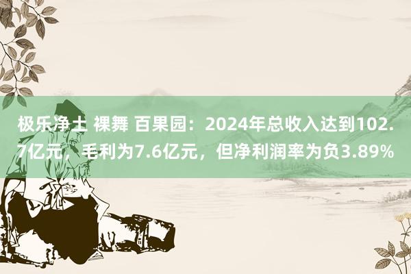 极乐净土 裸舞 百果园：2024年总收入达到102.7亿元，毛利为7.6亿元，但净利润率为负3.89%
