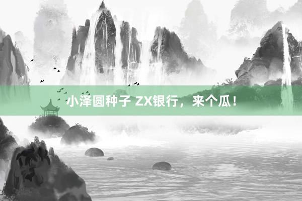小泽圆种子 ZX银行，来个瓜！