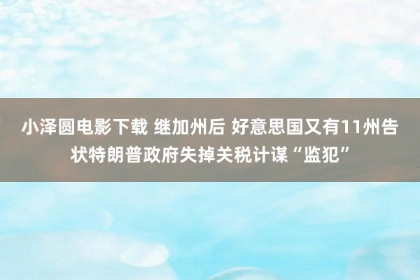 小泽圆电影下载 继加州后 好意思国又有11州告状特朗普政府失掉关税计谋“监犯”