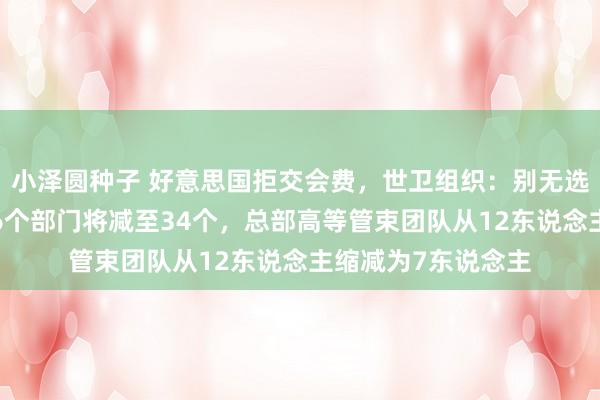 小泽圆种子 好意思国拒交会费，世卫组织：别无选拔，只可裁人！76个部门将减至34个，总部高等管束团队从12东说念主缩减为7东说念主
