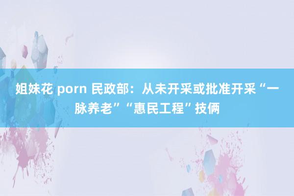 姐妹花 porn 民政部：从未开采或批准开采“一脉养老”“惠民工程”技俩