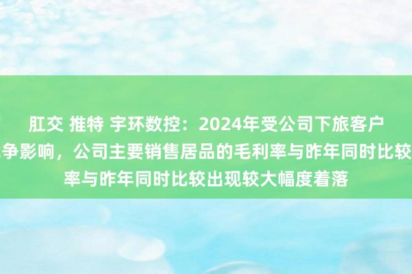 肛交 推特 宇环数控：2024年受公司下旅客户计较变化和商场竞争影响，公司主要销售居品的毛利率与昨年同时比较出现较大幅度着落