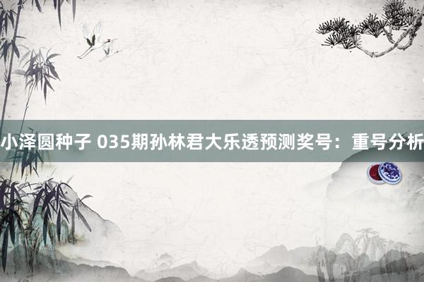 小泽圆种子 035期孙林君大乐透预测奖号：重号分析