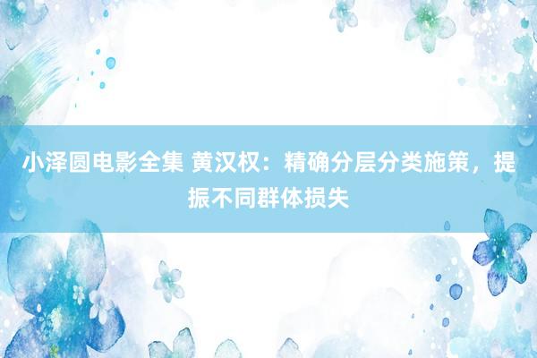 小泽圆电影全集 黄汉权：精确分层分类施策，提振不同群体损失