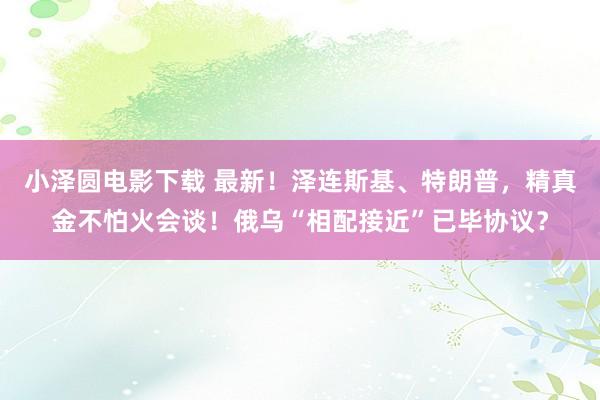 小泽圆电影下载 最新！泽连斯基、特朗普，精真金不怕火会谈！俄乌“相配接近”已毕协议？